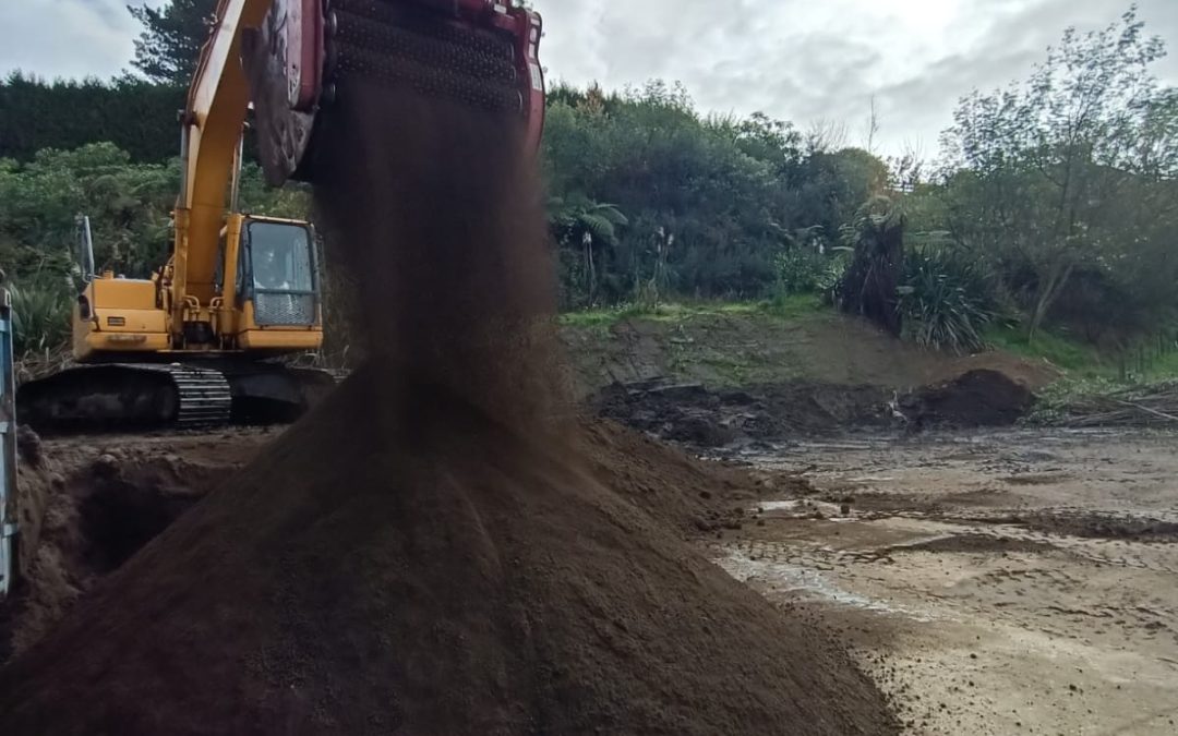 Bay Topsoil | How to Choose the Best Topsoil for Your Tauranga Garden