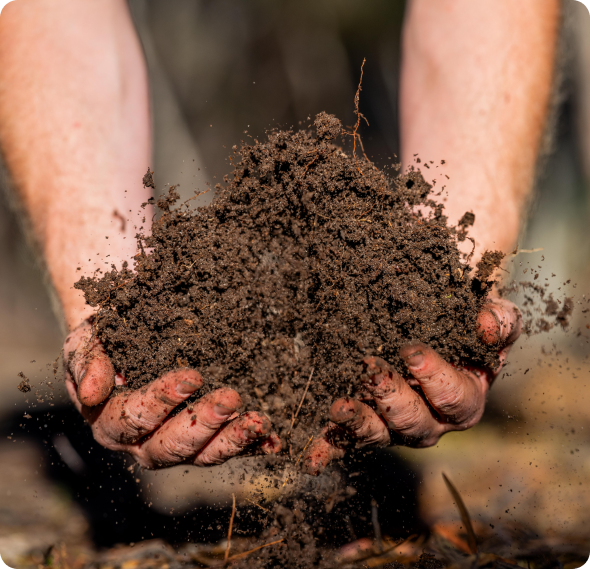 Bay Topsoil | Home New