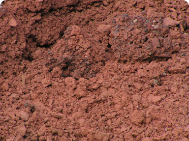 Bay Topsoil | Home New