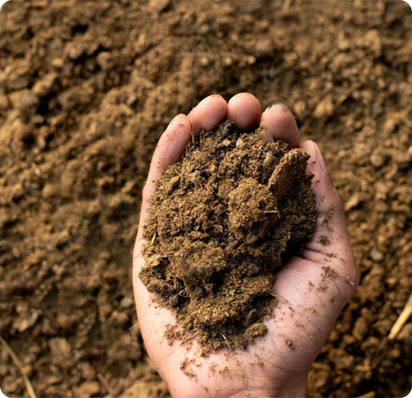 Bay Topsoil | Home New