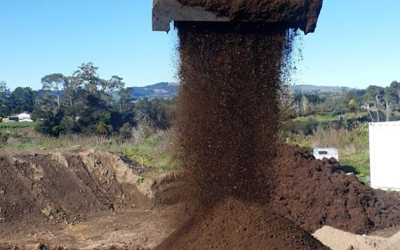 Top Uses for Screened Dry Topsoil in Tauranga Landscaping
