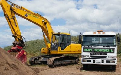 Forest Floor vs Aged Arborist Mulch: Which Suits Your Tauranga Garden?