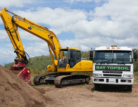 Bay Topsoil | Forest Floor vs Aged Arborist Mulch: Which Suits Your Tauranga Garden?